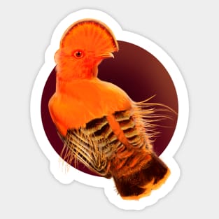 Cock-of-the-Rock Tropical Bird Sticker